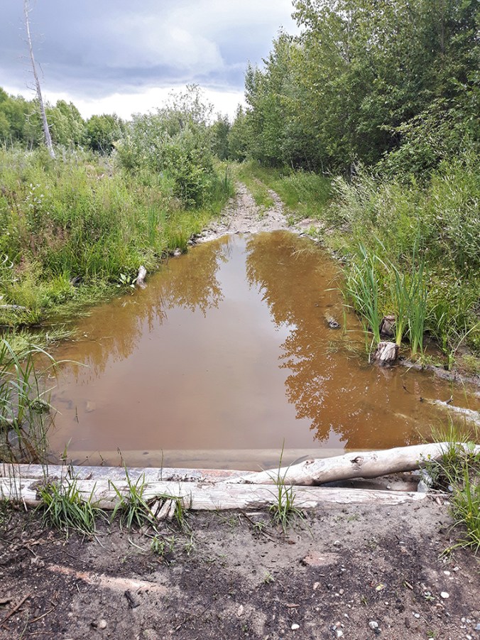 Smooth Rock Trail2_web