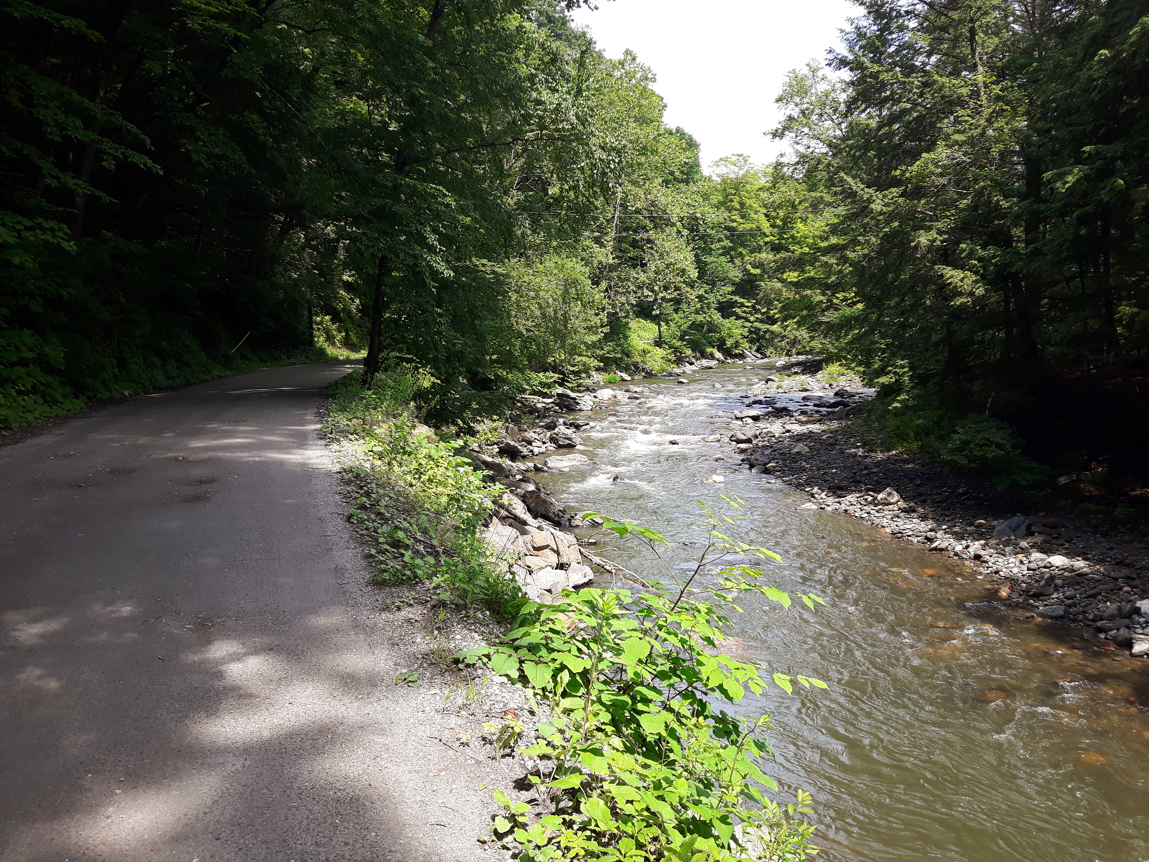 Following the Stream