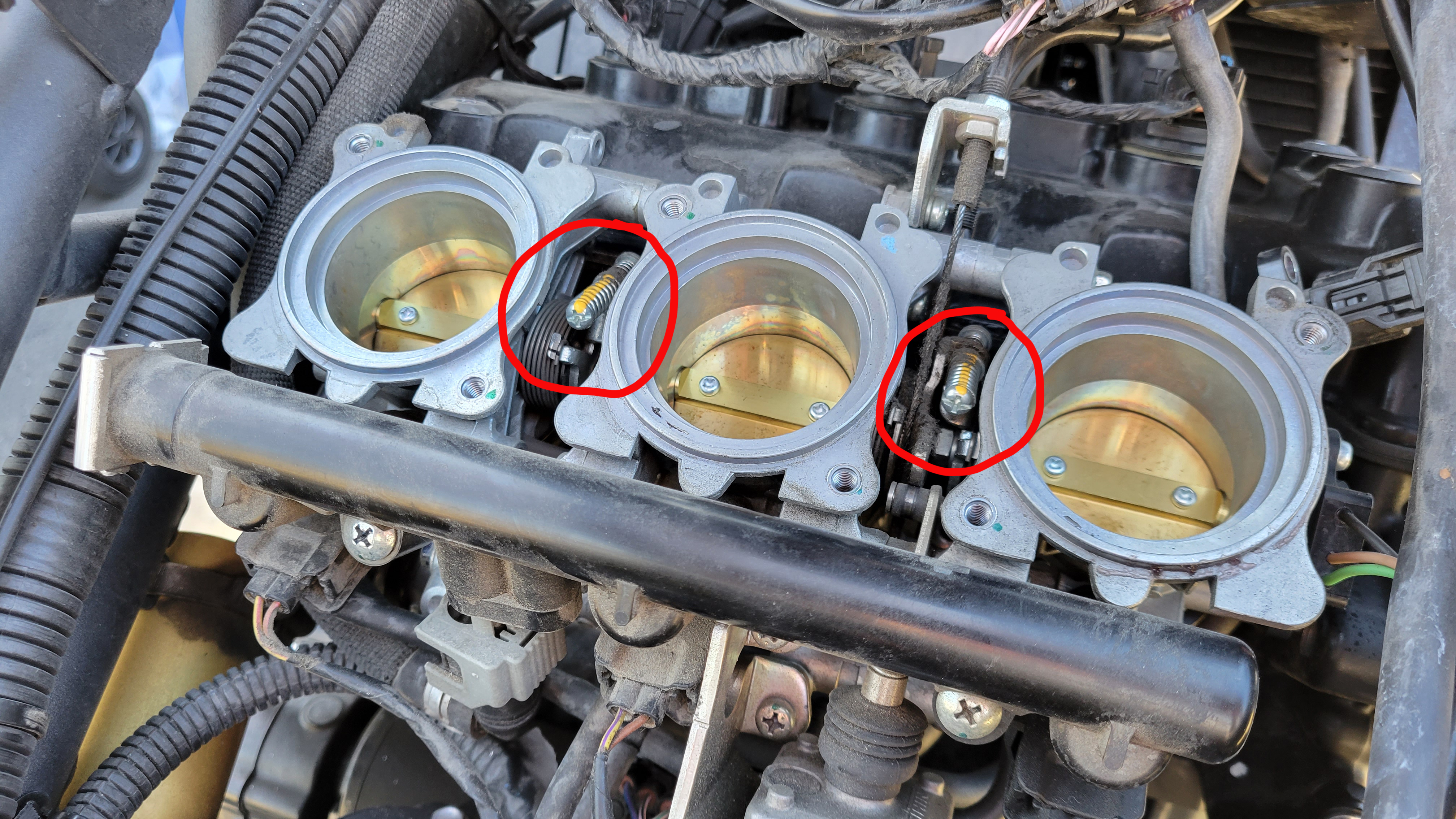 Temu Throttle Setup TuneECU Tutorial | 650thumper